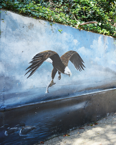 Eagle Wall Mural